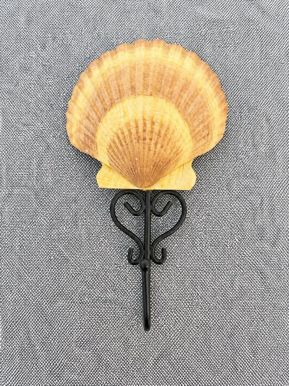 Coastal Scallop Shell Wall Hook Nautical Beach Cottage Decor